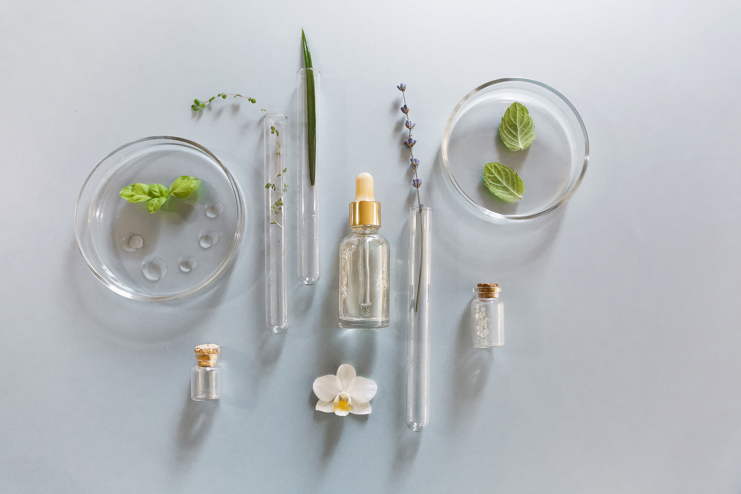 Set of various glassware on table in lab